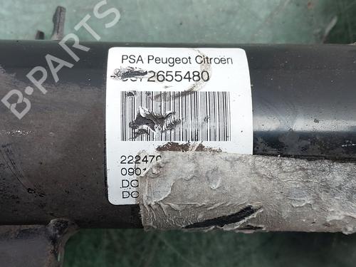 Left front shock absorber CITROËN C3 II (SC_)  | BP25856889M16 