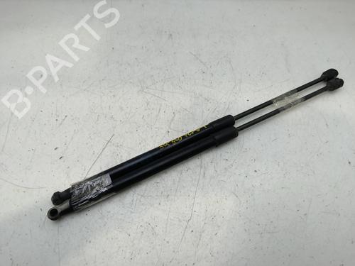 Tailgate lift support SKODA FABIA II (542)  | BP29439746C138 