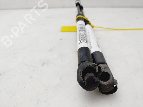 Tailgate lift support CHEVROLET AVEO / KALOS Hatchback (T200) 1.4 | BP22190125C138 