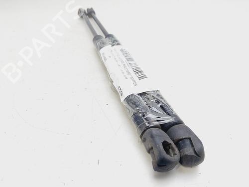 Tailgate lift support CHEVROLET AVEO / KALOS Hatchback (T200) 1.4 16V | BP23648747C138 