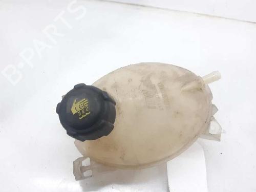 Expansion tank DACIA LOGAN Pickup (US_) 1.5 dCi (75 hp) 217107259R | 217107259R |