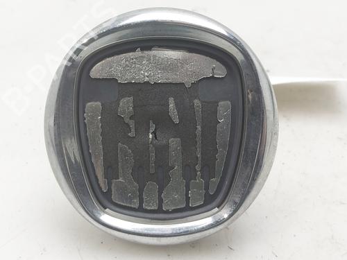 Used Tailgate handle Tailgate handle FIAT BRAVO II (198_) 1.9 D Multijet (198AXB1A) (120 hp) 36514622 36514622