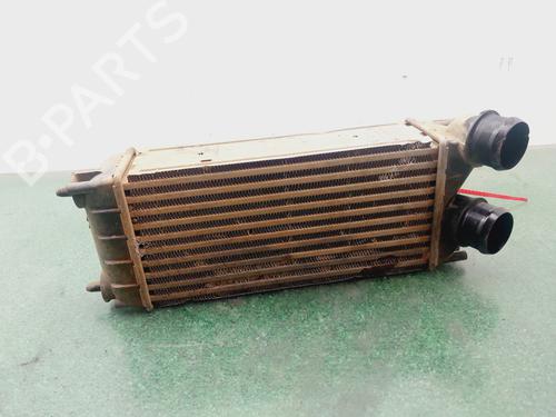 Intercooler CITROËN C4 II (NC_)  | BP29326308M30