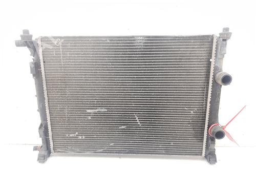 Used Water radiator RENAULT MEGANE II (BM0/1_, CM0/1_) 1.9 dCi (131 hp) 18319298