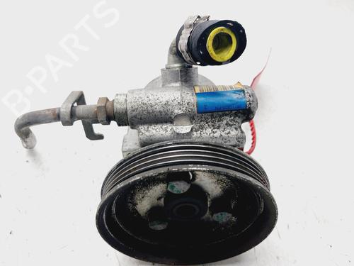 Steering pump FIAT DOBLO MPV (119_, 223_) 1.3 JTD | BP29565390M99 