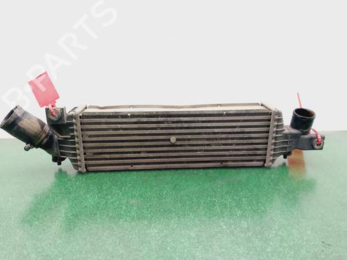 Intercooler NISSAN PRIMERA (P12) [2002-2026]  32258355
