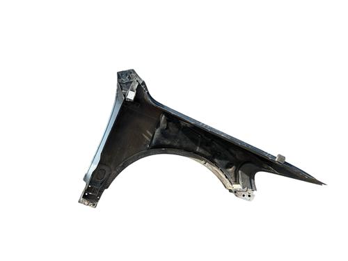 Left front fenders VW TOUAREG (7LA, 7L6, 7L7)  | BP24997187C41 
