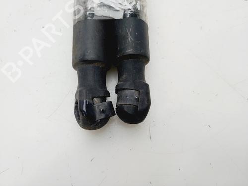 Tailgate lift support VW TIGUAN (5N_) | BP30121172C138