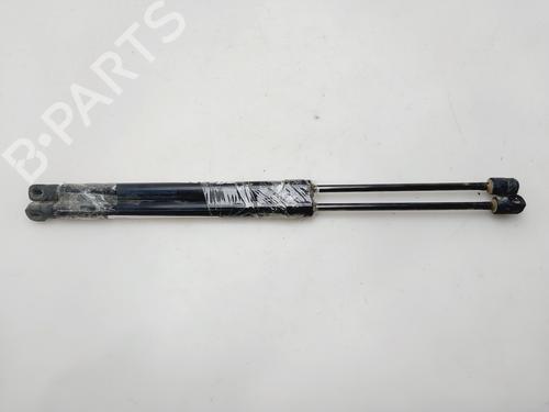 BP31316395C138 main image