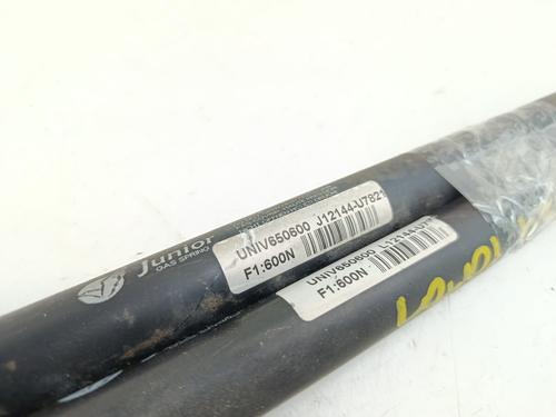 Tailgate lift support CITROËN C4 Picasso I MPV (UD_) 2.0 HDi 138 | BP29054795C138 