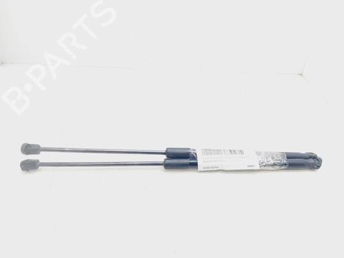 Used Tailgate lift support DACIA SANDERO [2008-2025]  26138243