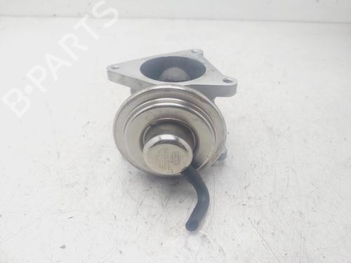 Egr VW PASSAT B6 (3C2)  | BP29519205M69 