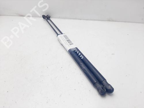 Tailgate lift support FORD FIESTA VI (CB1, CCN) 1.4 TDCi | BP22389559C138 
