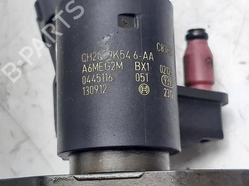 Injector LAND ROVER RANGE ROVER SPORT II (L494) 3.0 TDV6 4x4 | BP16350965M100 