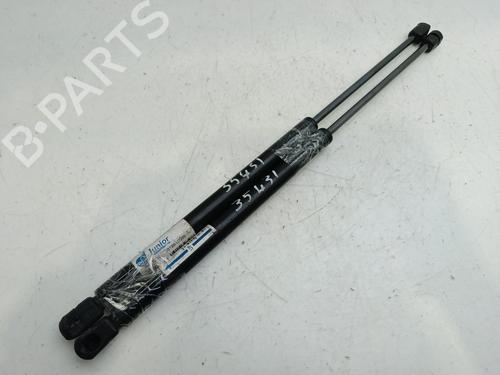 Hood lift support AUDI Q7 (4LB) 4.2 TDI quattro | BP28536040C139