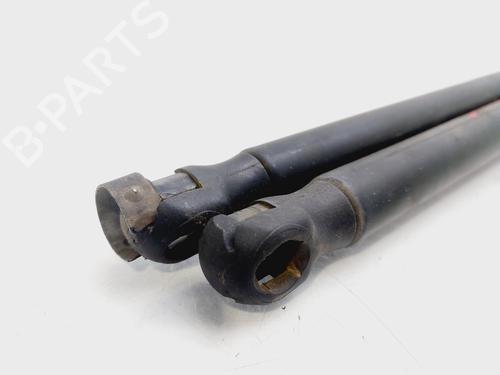 Tailgate lift support FORD FOCUS II Turnier (DA_, FFS, DS)  | BP26137868C138 