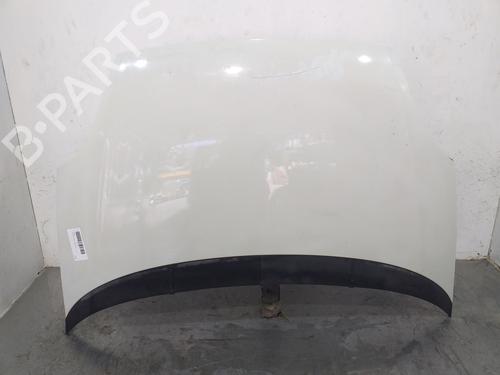 Used Hood FIAT GRANDE PUNTO (199_) 1.3 D Multijet (69 hp) 19287821