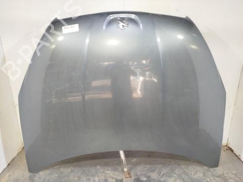 Used Hood Hood 38285419 38285419