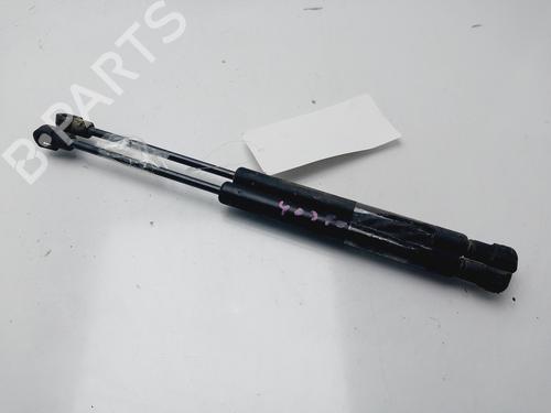 Gasdæmper bagklap SMART CITY-COUPE (450) 0.8 CDI (S1CLC1, 450.300, 450.301, 450.302, 450.303,... (41 hp) 32517646