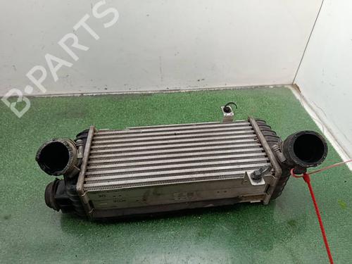 Used Intercooler Intercooler HYUNDAI TUCSON (TL, TLE) [2015-2023] 40261575 40261575