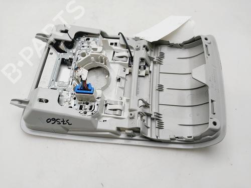 Interior roof light SKODA YETI (5L) 2.0 TDI | BP26445506I8 