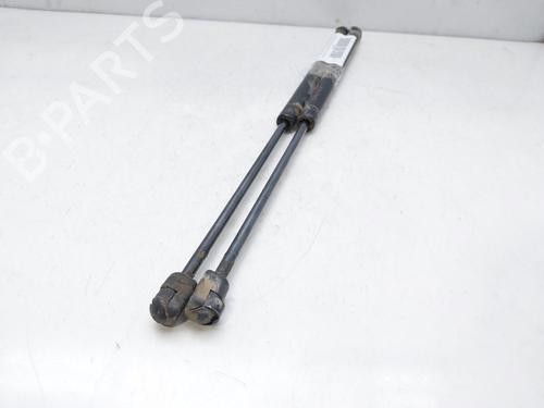 Tailgate lift support MERCEDES-BENZ A-CLASS (W169) A 160 (169.031, 169.331) | BP14009371C138 