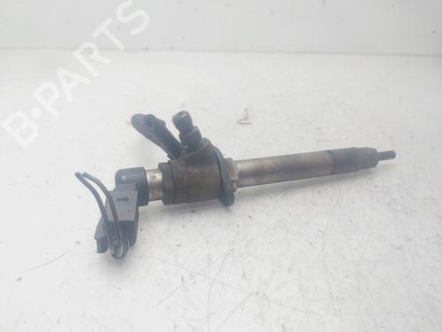 Injector LAND ROVER RANGE ROVER SPORT I (L320)  | BP29452494M100 