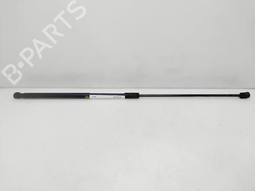 Used Hood lift support AUDI A3 (8P1) 1.9 TDI (105 hp) 29737788