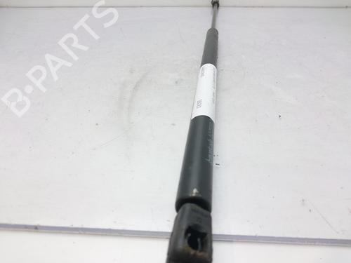 Hood lift support AUDI A6 C5 (4B2) 2.5 TDI | BP14006738C139 