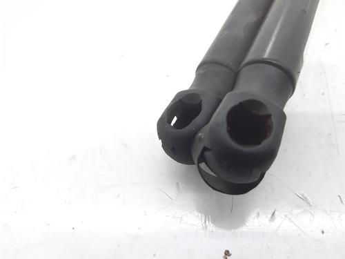 Tailgate lift support FORD FIESTA V (JH_, JD_) ST150 | BP14000336C138 