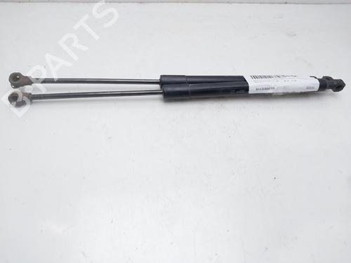 Used Tailgate lift support RENAULT CLIO IV (BH_) [2012-2021]  15284911