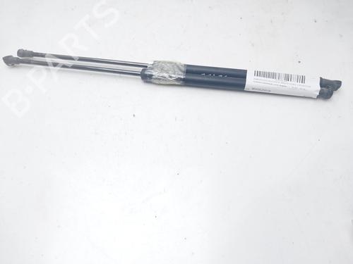 Used Tailgate lift support NISSAN QASHQAI I (J10, NJ10) 2.0 dCi (150 hp) 16006612