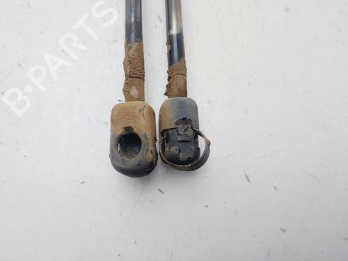 Tailgate lift support SEAT IBIZA II (6K1) 1.9 TDI | BP29242369C138 