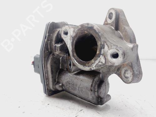 Egr NISSAN JUKE (F15)  | BP28329408M69