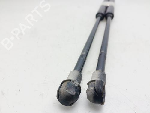 Tailgate lift support OPEL MERIVA B MPV (S10)  | BP29719299C138 