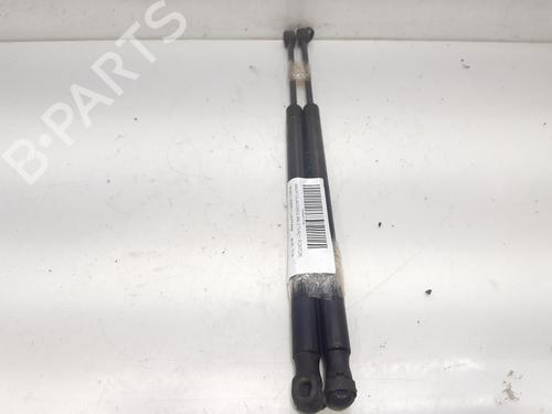 Used Tailgate lift support RENAULT SCÉNIC II (JM0/1_) 1.9 dCi (JM0G, JM12, JM1G, JM2C) (120 hp) 14006019