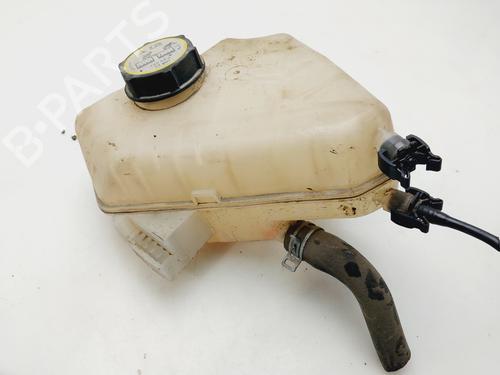 Expansion tank FORD FIESTA VI (CB1, CCN)  | BP24884529C120 