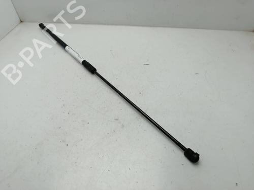 Hood lift support AUDI A5 Sportback (8TA) 3.0 TDI quattro 8T0823359 |
