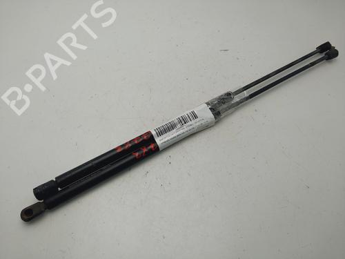 Tailgate lift support CITROËN XSARA Coupe (N0) 1.6 16V | BP24824649C138 