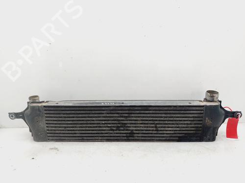 Intercooler RENAULT KOLEOS I (HY_) 2.0 dCi (HY0K) | BP20329817M30 