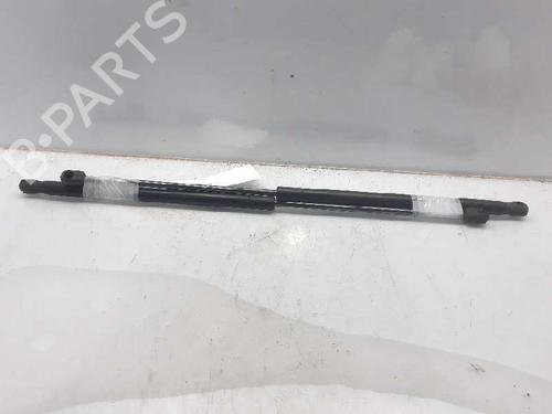 Gassdemper Bakluke FORD FOCUS C-MAX (DM2) [2003-2007]  13996433