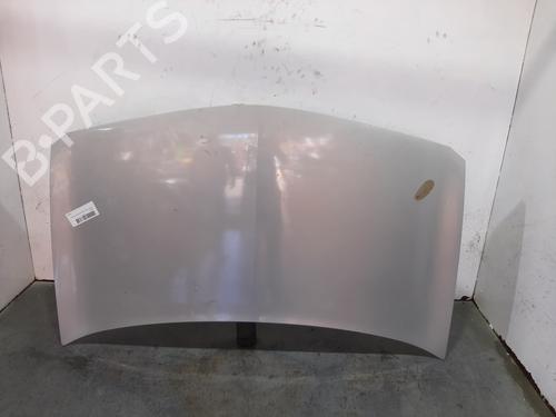 Used Hood RENAULT MEGANE II Saloon (LM0/1_) 1.9 dCi (LM0G, LM1G, LM2C) (120 hp) 15002830