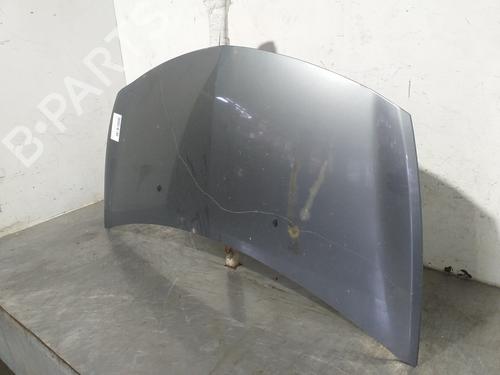 Hood RENAULT CLIO III (BR0/1, CR0/1) 1.5 dCi (C/BR0G, C/BR1G) | BP20320036C1 