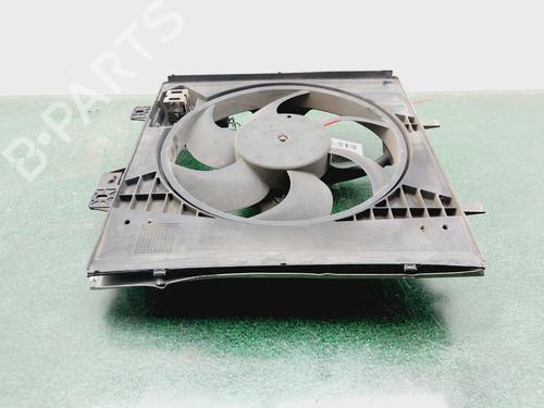 Radiator fan PEUGEOT 207 (WA_, WC_)  | BP28727865M35 