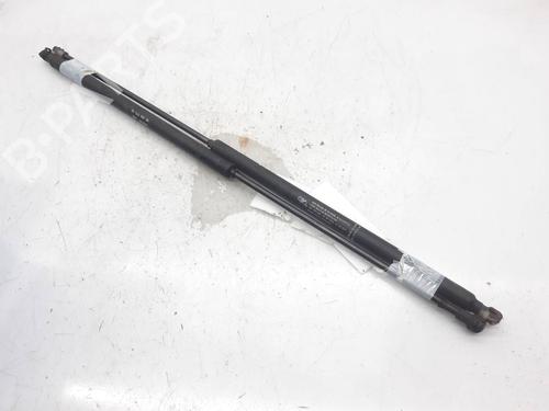 Used Tailgate lift support CITROËN XSARA Break (N2) 2.0 HDI 90 (90 hp) 13998040