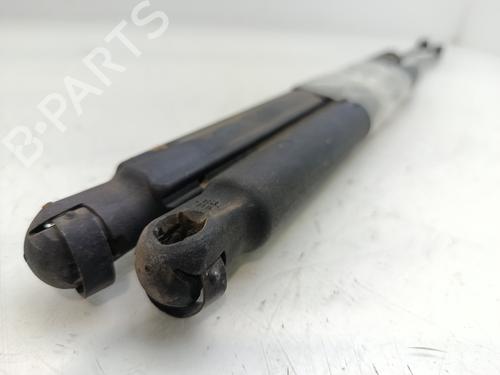 Tailgate lift support MERCEDES-BENZ C-CLASS (W203)  | BP28208315C138 