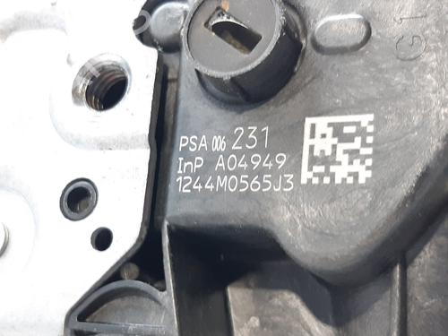 Front left lock PEUGEOT 3008 I MPV (0U_)  | BP10086018C98 