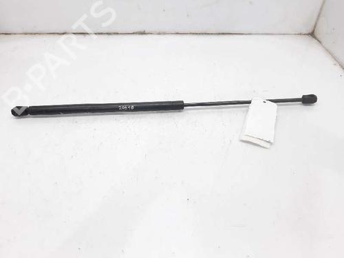 Used Hood lift support RENAULT MEGANE I (BA0/1_) 1.9 D Eco (BA0A, BA0U, BA0R) (64 hp) 13996145