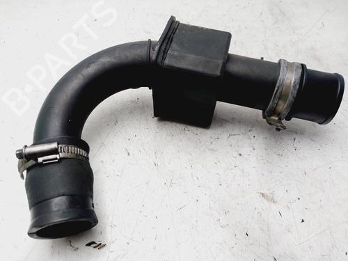 Used Pipe RENAULT MEGANE II (BM0/1_, CM0/1_) [2001-2012]  29078472