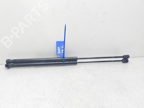 Tailgate lift support LAND ROVER RANGE ROVER SPORT I (L320) 3.6 D 4x4 | BP14008738C138 